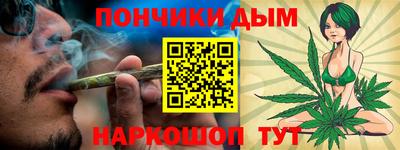 индика Лесосибирск