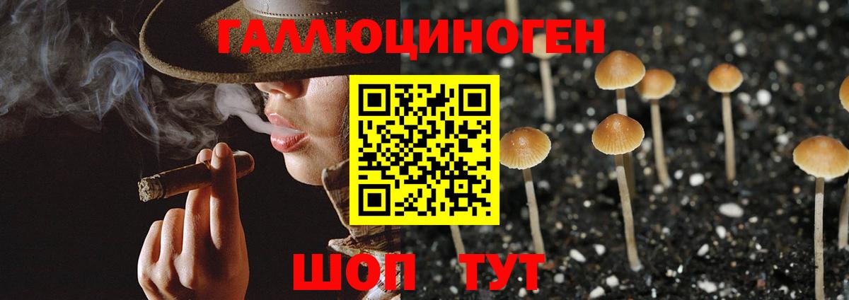 Галлюциногенные грибы Psilocybine cubensis  Галлюциногенные грибы GOLDEN TEACHER  Вход с VPN  Татарск 